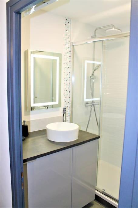 Apartament Le Chartreuse Voiron Zewnętrze zdjęcie